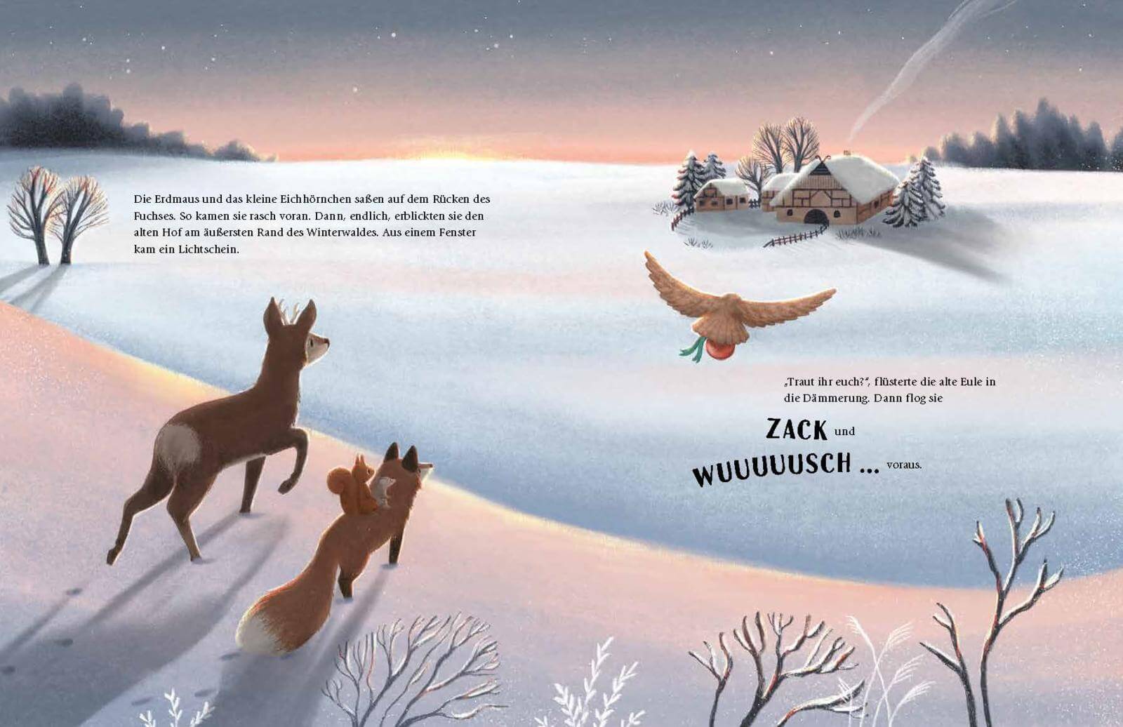  Wem gehört das Weihnachtsdings? Weihnachtsbilderbuch über die Freude am Teilen Madlen Ottenschläger 9783480239924 Thienem...