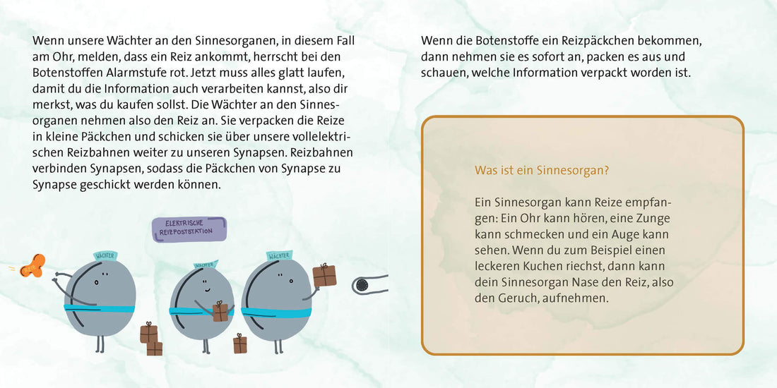  Wer macht das Chaos in meinem Kopf? ADHS für Kinder erklärt Leonie Muth 9783863216641 Mabuse Verlag (2)