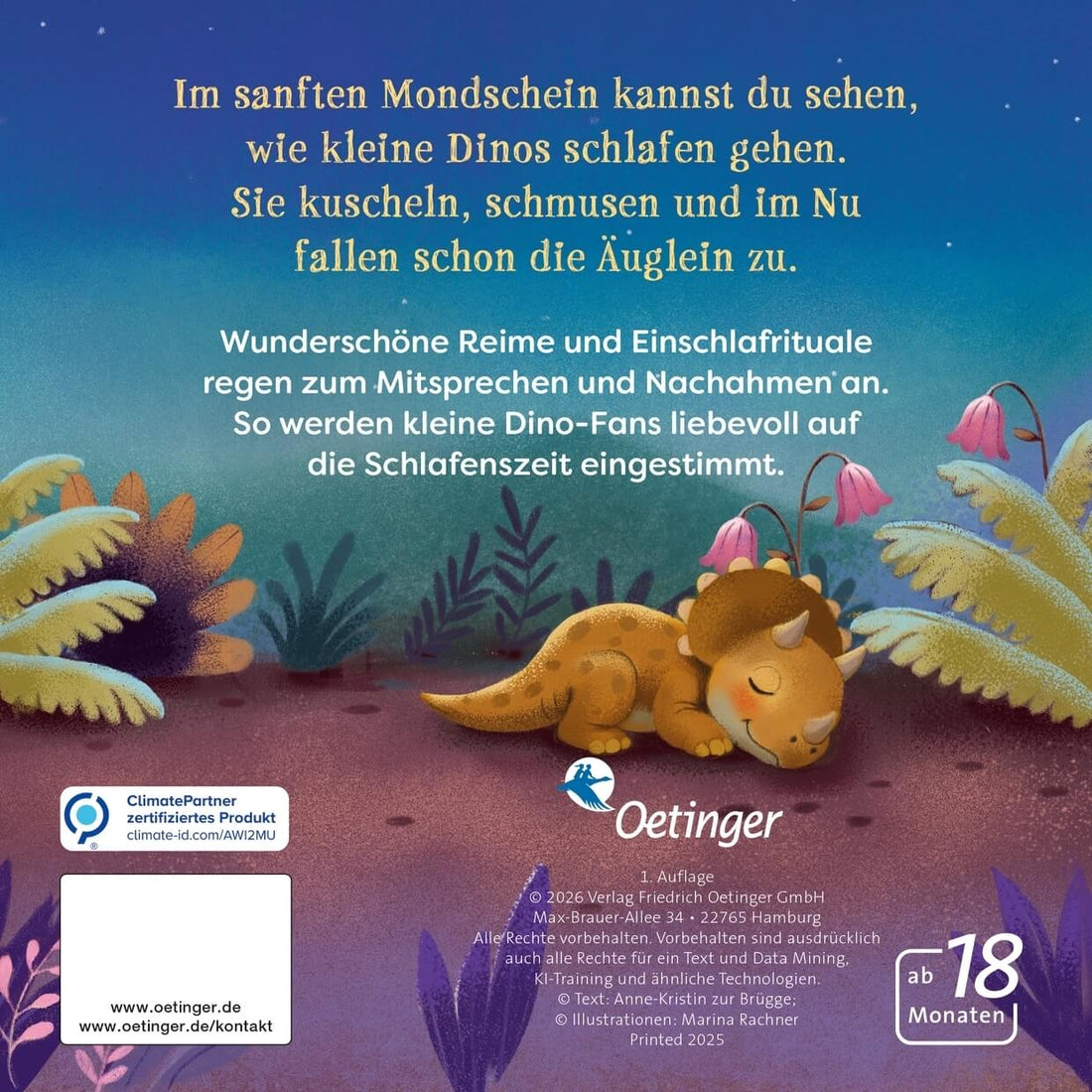  Wie kleine Dinos schlafen gehen Anne-Kristin zur Brügge 9783751205535 Friedrich Oetinger GmbH (2)