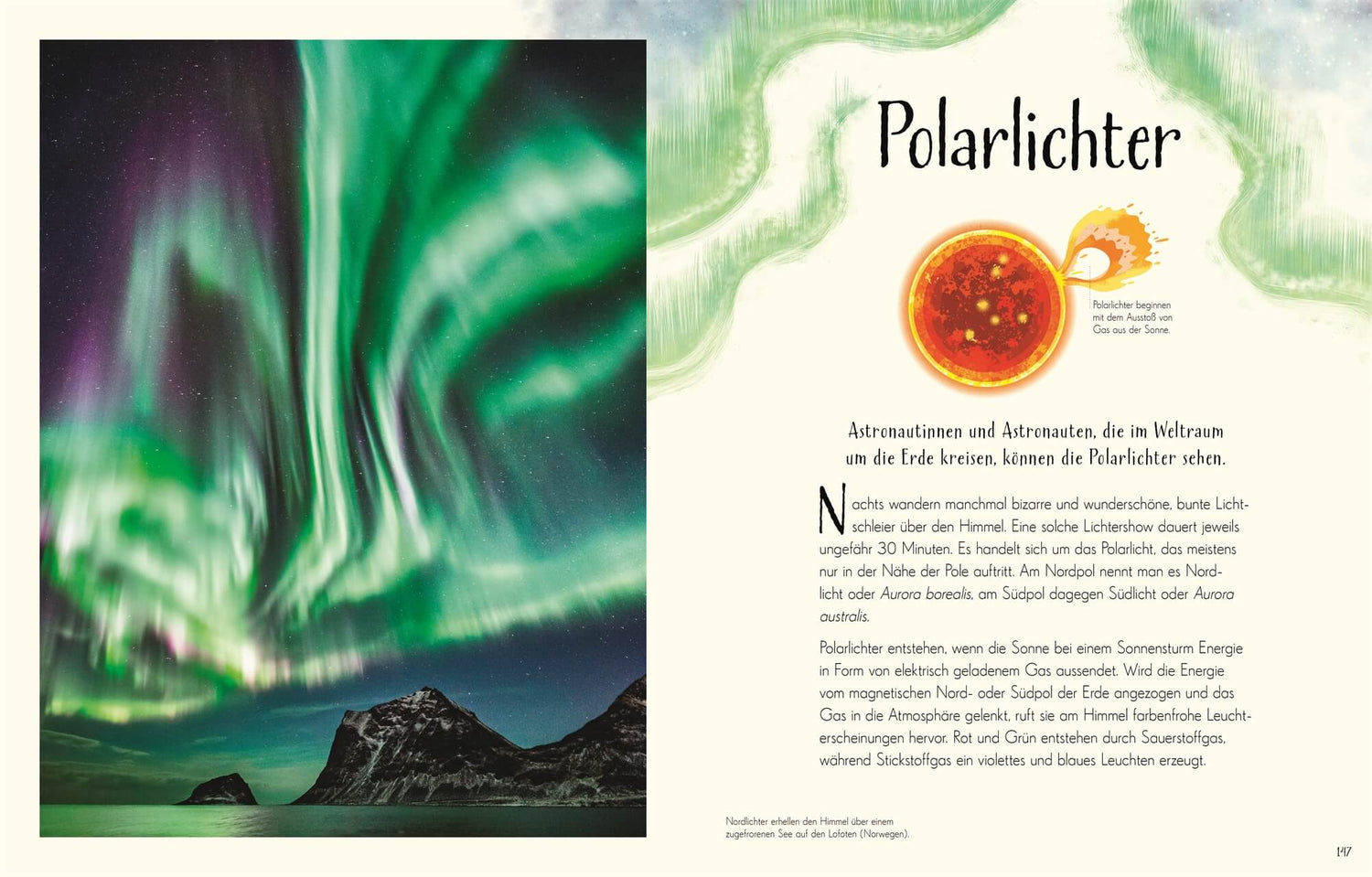  Wundervolle Welt. Erde Ein Natur-Bilderbuch für die ganze Familie. Hochwe Cally Oldershaw 9783831049172 DK Verlag Dorling...