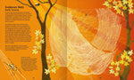  Wunderwelt der Spinnennetze Jan Beccaloni 9783845865515 ArsEdition GmbH (3)