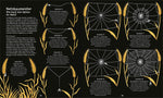 Wunderwelt der Spinnennetze Jan Beccaloni 9783845865515 ArsEdition GmbH (4)