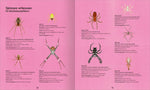  Wunderwelt der Spinnennetze Jan Beccaloni 9783845865515 ArsEdition GmbH (5)