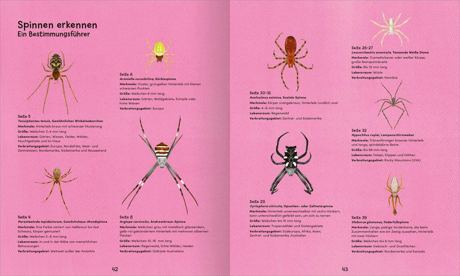  Wunderwelt der Spinnennetze Jan Beccaloni 9783845865515 ArsEdition GmbH (5)